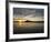 Post Office Bay, Isla Santa Maria (Floreana Island), Galapagos Islands, Ecuador-Michael DeFreitas-Framed Photographic Print