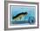 Postage Stamp. The Hunt For Pike-GUARDING-OWO-Framed Art Print