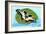 Postage Stamp With A Butterfly-GUARDING-OWO-Framed Art Print