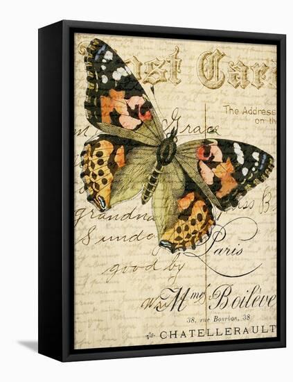 Postcard Butterfly 2-Kimberly Allen-Framed Stretched Canvas