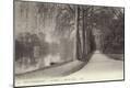 Photographic Print