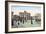 Postcard Depicting the Brandenburg Gate in Berlin, Pre 1914-null-Framed Giclee Print