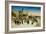 Postcard Depicting the Promenade Des Anglais and the Hotel Ruhl, Nice, C.1930-null-Framed Giclee Print