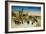 Postcard Depicting the Promenade Des Anglais and the Hotel Ruhl, Nice, C.1930-null-Framed Giclee Print