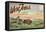 Postcard Folder, West Texas, America's Last Frontier-null-Framed Stretched Canvas