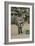 Postcard of a Man Carrying a Donkey, Sent in 1913-French Photographer-Framed Giclee Print