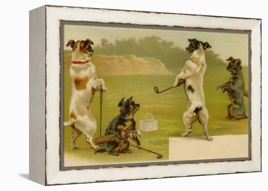 Postcard of Dogs Golfing-null-Framed Premier Image Canvas