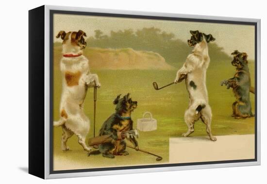 Postcard of Dogs Golfing-null-Framed Premier Image Canvas