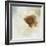 Postcard Poppy-Kimberly Allen-Framed Photo