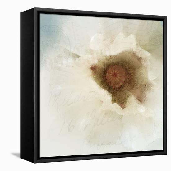 Postcard Poppy-Kimberly Allen-Framed Stretched Canvas
