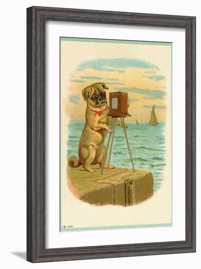 Postcard with a Pug and Camera-null-Framed Giclee Print