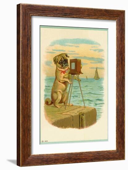 Postcard with a Pug and Camera-null-Framed Giclee Print