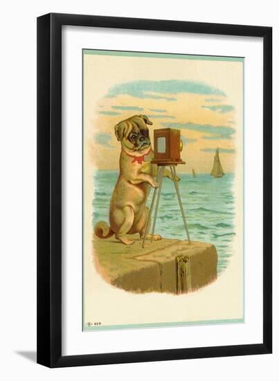 Postcard with a Pug and Camera-null-Framed Giclee Print