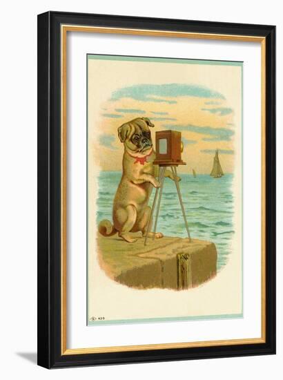 Postcard with a Pug and Camera-null-Framed Giclee Print