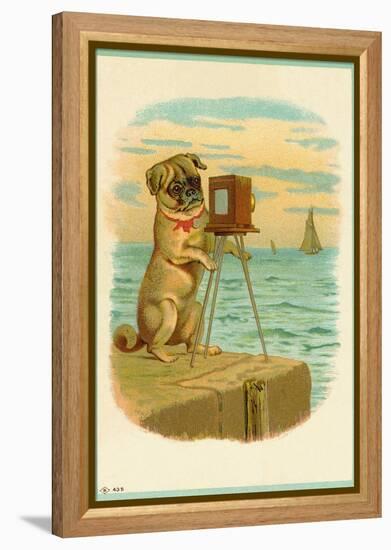 Postcard with a Pug and Camera-null-Framed Premier Image Canvas