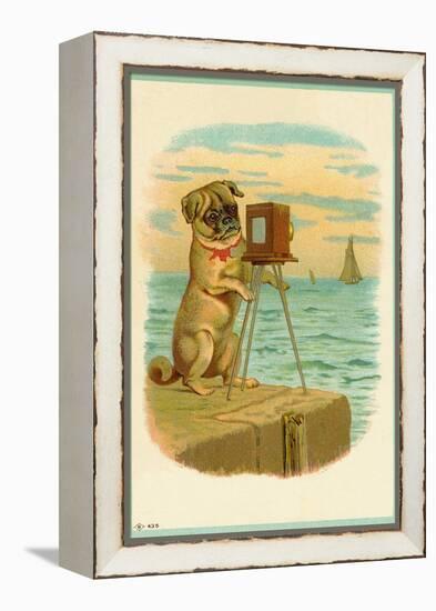 Postcard with a Pug and Camera-null-Framed Premier Image Canvas