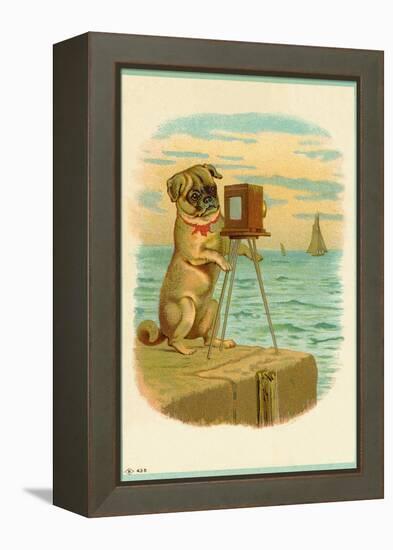 Postcard with a Pug and Camera-null-Framed Premier Image Canvas