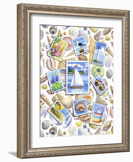 Postcards And Shells-Geraldine Aikman-Framed Giclee Print