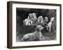 Postchaise Pluto One of Mrs Rowberry's Bitches with Her Puppies in a Basket-Thomas Fall-Framed Photographic Print
