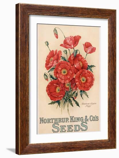 Poster Advertising Northrup, Kings and Co's Seeds, C.1898 (Colour Litho)-American-Framed Giclee Print