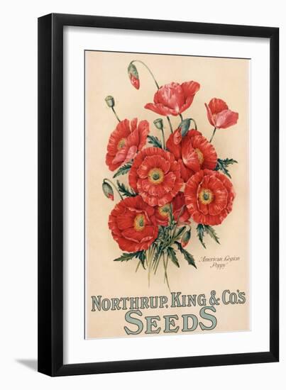 Poster Advertising Northrup, Kings and Co's Seeds, C.1898 (Colour Litho)-American-Framed Giclee Print