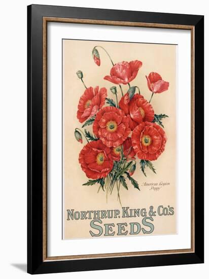 Poster Advertising Northrup, Kings and Co's Seeds, C.1898 (Colour Litho)-American-Framed Giclee Print