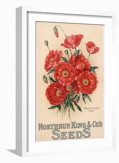 Poster Advertising Northrup, Kings and Co's Seeds, C.1898 (Colour Litho)-American-Framed Giclee Print