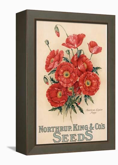 Poster Advertising Northrup, Kings and Co's Seeds, C.1898 (Colour Litho)-American-Framed Premier Image Canvas