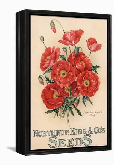 Poster Advertising Northrup, Kings and Co's Seeds, C.1898 (Colour Litho)-American-Framed Premier Image Canvas