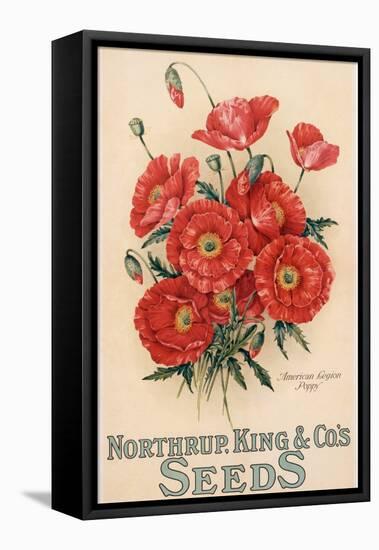 Poster Advertising Northrup, Kings and Co's Seeds, C.1898 (Colour Litho)-American-Framed Premier Image Canvas