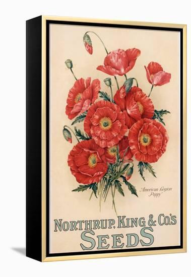Poster Advertising Northrup, Kings and Co's Seeds, C.1898 (Colour Litho)-American-Framed Premier Image Canvas