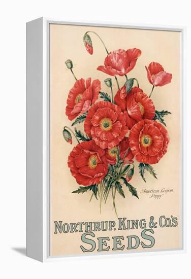 Poster Advertising Northrup, Kings and Co's Seeds, C.1898 (Colour Litho)-American-Framed Premier Image Canvas