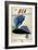 Poster for British European Airways (BEA) Featuring the 1948 London Olympic Games-null-Framed Giclee Print