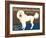 Poster for Dog Show-null-Framed Art Print