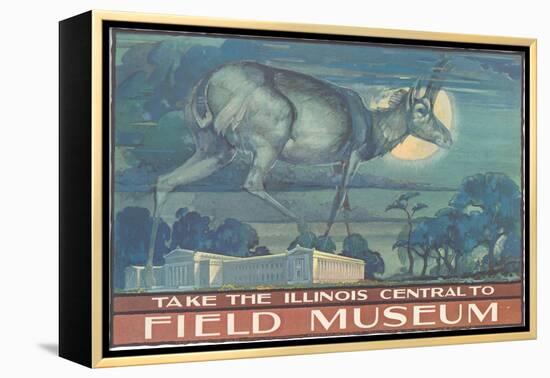 Poster for Field Museum with Horned Antelope-null-Framed Premier Image Canvas