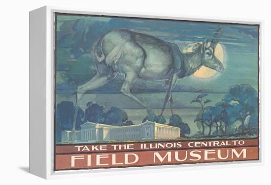 Poster for Field Museum with Horned Antelope-null-Framed Premier Image Canvas