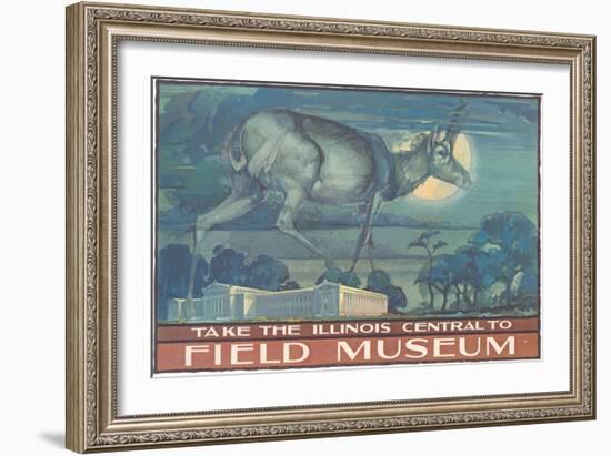 Poster for Field Museum with Horned Antelope-null-Framed Giclee Print
