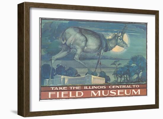 Poster for Field Museum with Horned Antelope-null-Framed Giclee Print