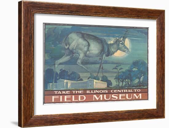 Poster for Field Museum with Horned Antelope-null-Framed Giclee Print