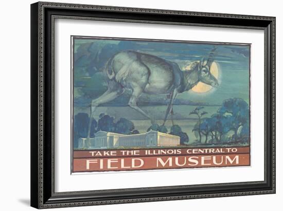 Poster for Field Museum with Horned Antelope-null-Framed Giclee Print