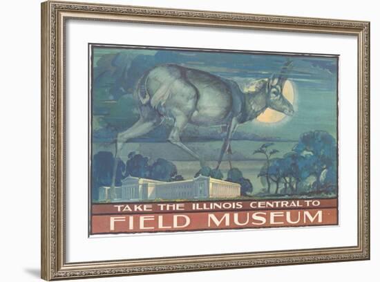 Poster for Field Museum with Horned Antelope-null-Framed Giclee Print