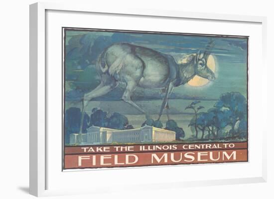 Poster for Field Museum with Horned Antelope-null-Framed Giclee Print