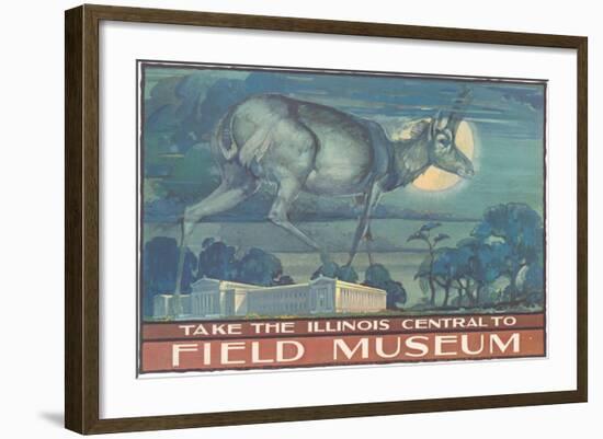 Poster for Field Museum with Horned Antelope-null-Framed Giclee Print