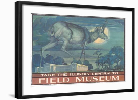 Poster for Field Museum with Horned Antelope-null-Framed Giclee Print