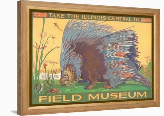 Poster for Field Museum with Porcupine-null-Framed Premier Image Canvas