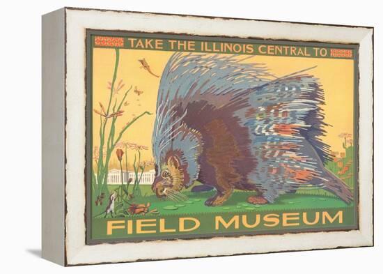 Poster for Field Museum with Porcupine-null-Framed Premier Image Canvas