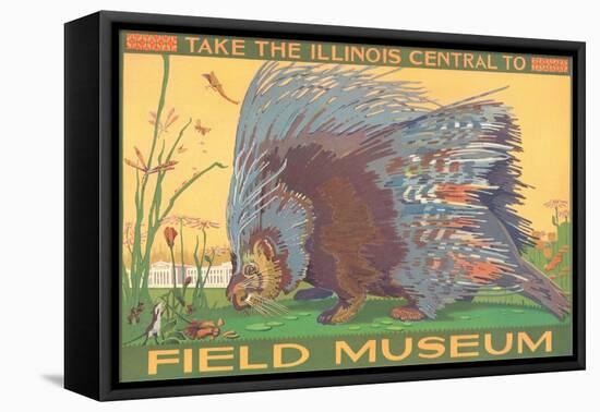 Poster for Field Museum with Porcupine-null-Framed Premier Image Canvas