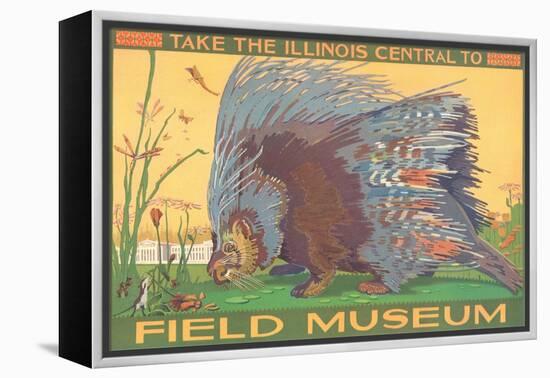 Poster for Field Museum with Porcupine-null-Framed Premier Image Canvas
