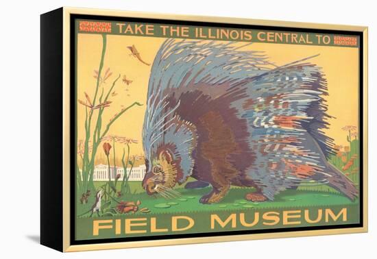 Poster for Field Museum with Porcupine-null-Framed Premier Image Canvas