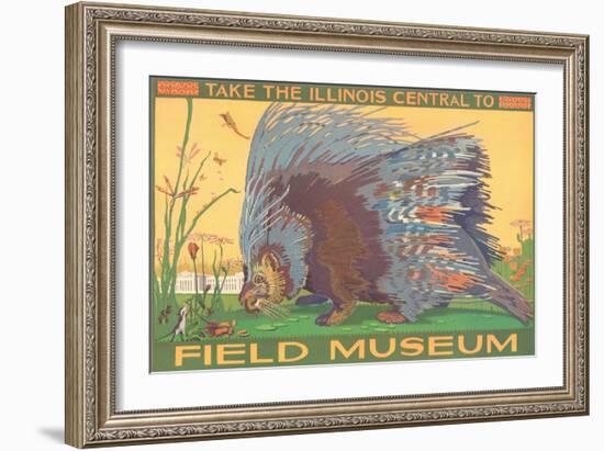 Poster for Field Museum with Porcupine-null-Framed Giclee Print